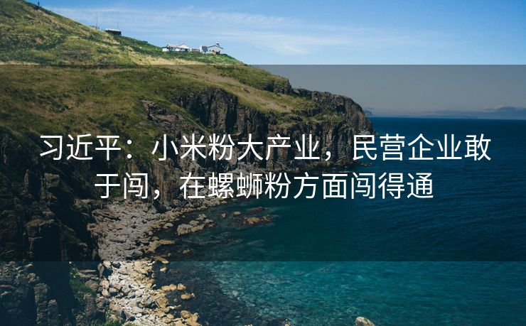 习近平：小米粉大产业，民营企业敢于闯，在螺蛳粉方面闯得通