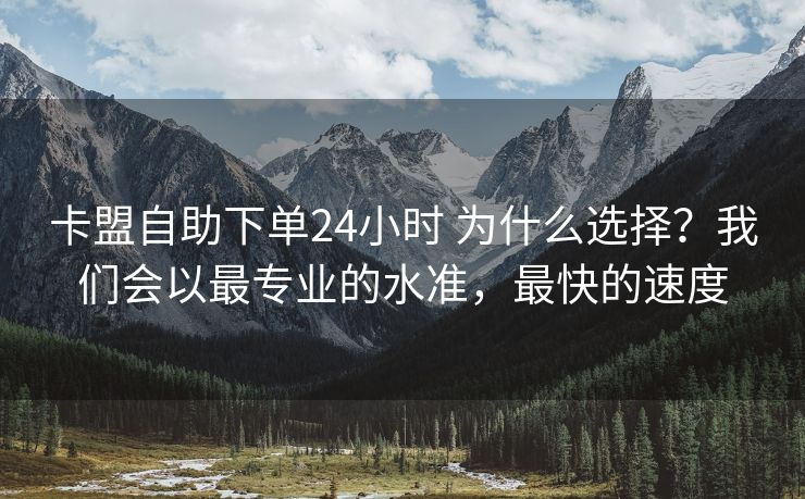 卡盟自助下单24小时 为什么选择？我们会以最专业的水准，最快的速度