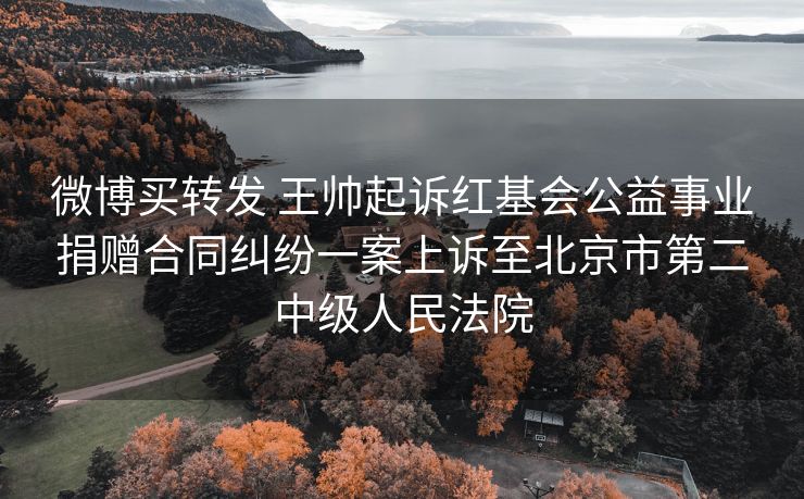 微博买转发 王帅起诉红基会公益事业捐赠合同纠纷一案上诉至北京市第二中级人民法院