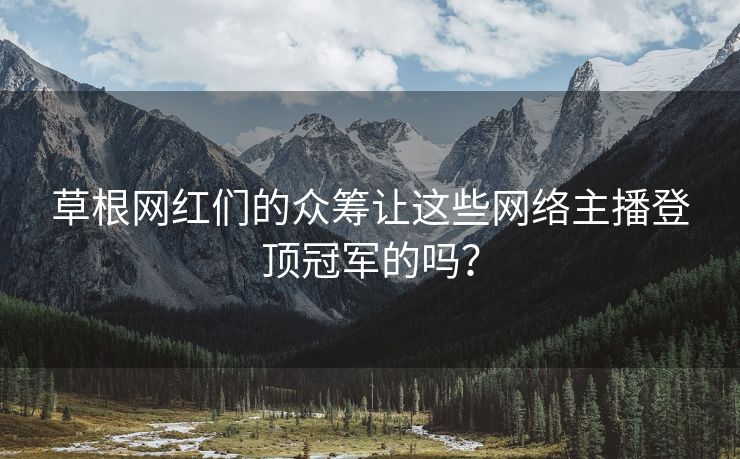 草根网红们的众筹让这些网络主播登顶冠军的吗？