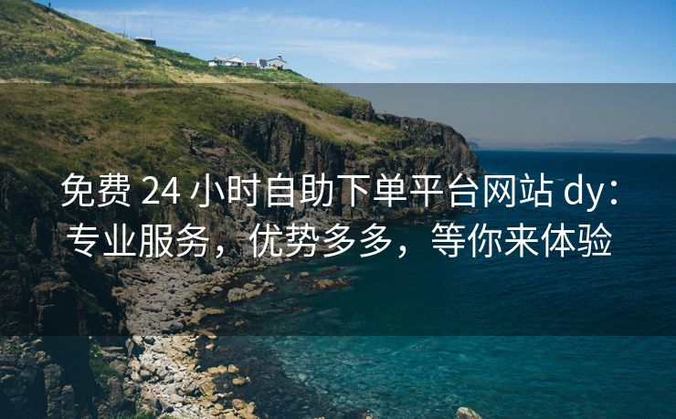 免费 24 小时自助下单平台网站 dy：专业服务，优势多多，等你来体验