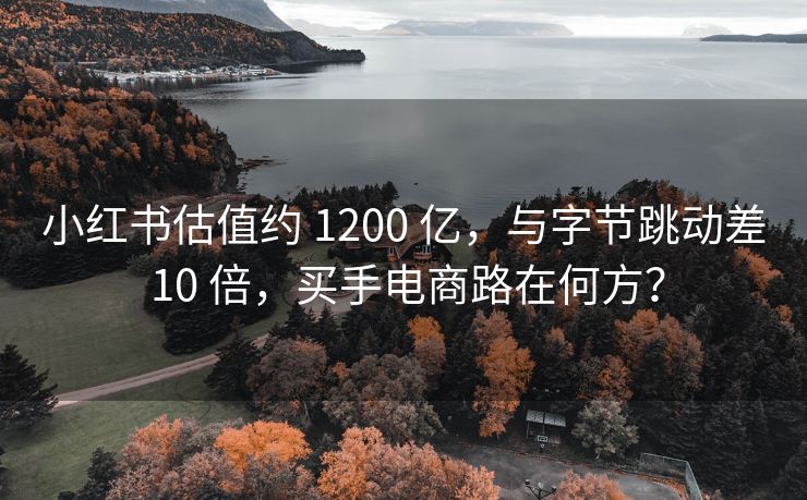 小红书估值约 1200 亿，与字节跳动差 10 倍，买手电商路在何方？