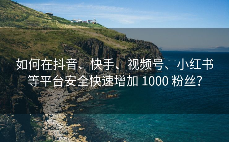 如何在抖音、快手、视频号、小红书等平台安全快速增加 1000 粉丝？