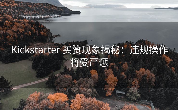 Kickstarter 买赞现象揭秘：违规操作将受严惩