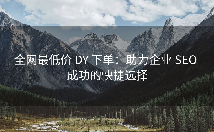 全网最低价 DY 下单：助力企业 SEO 成功的快捷选择