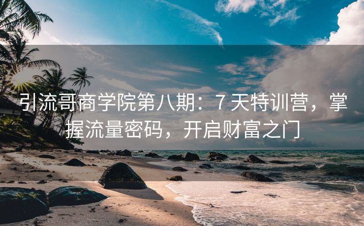 引流哥商学院第八期：7 天特训营，掌握流量密码，开启财富之门