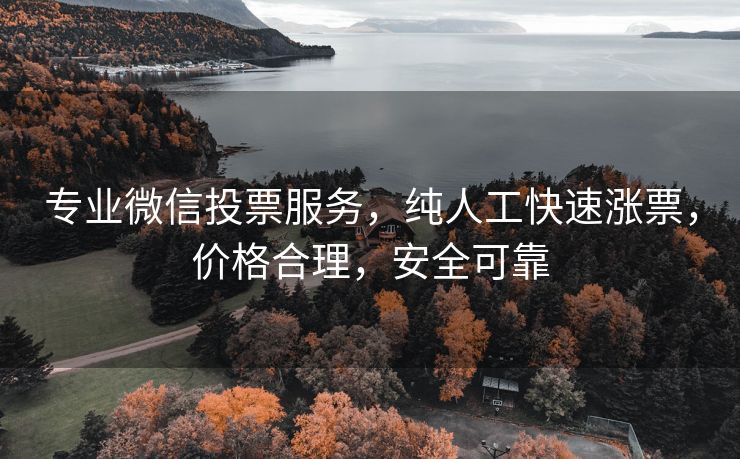 专业微信投票服务，纯人工快速涨票，价格合理，安全可靠