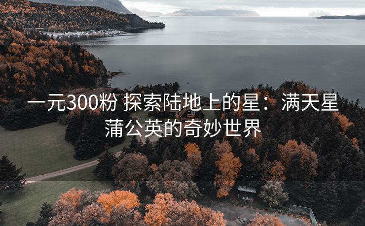 一元300粉 探索陆地上的星：满天星蒲公英的奇妙世界