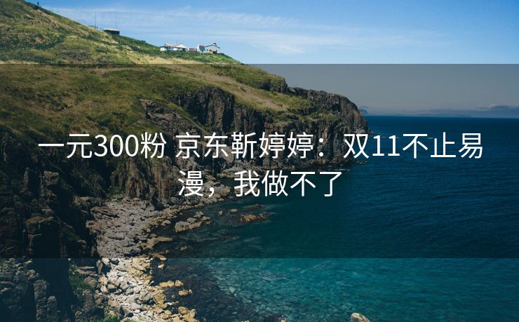 一元300粉 京东靳婷婷：双11不止易漫，我做不了