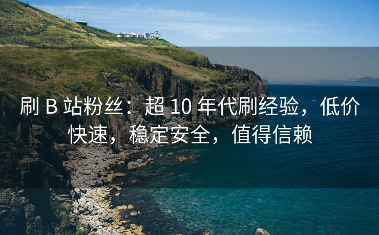 刷 B 站粉丝：超 10 年代刷经验，低价快速，稳定安全，值得信赖