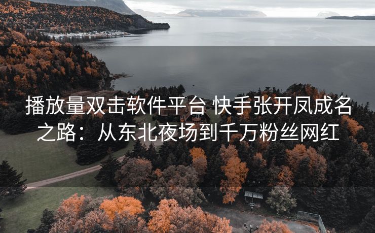 播放量双击软件平台 快手张开凤成名之路：从东北夜场到千万粉丝网红