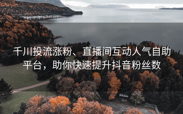 千川投流涨粉、直播间互动人气自助平台，助你快速提升抖音粉丝数