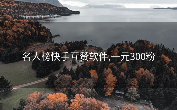 名人榜快手互赞软件,一元300粉