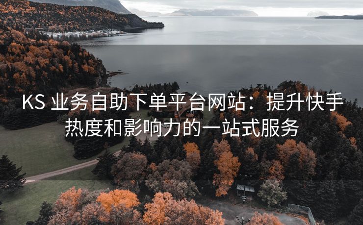 KS 业务自助下单平台网站：提升快手热度和影响力的一站式服务