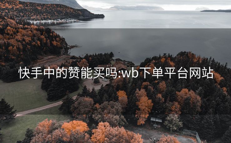 快手中的赞能买吗:wb下单平台网站