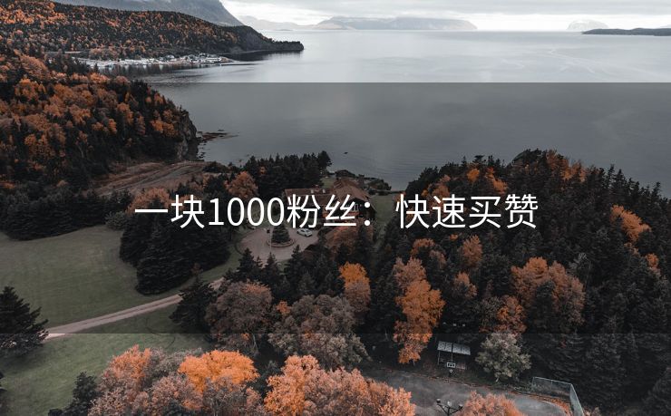 一块1000粉丝：快速买赞