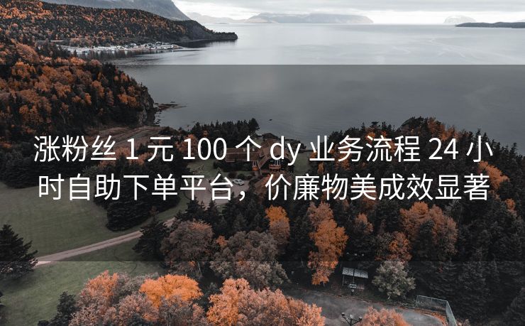 涨粉丝 1 元 100 个 dy 业务流程 24 小时自助下单平台，价廉物美成效显著