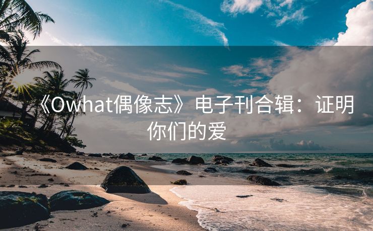 《Owhat偶像志》电子刊合辑：证明你们的爱