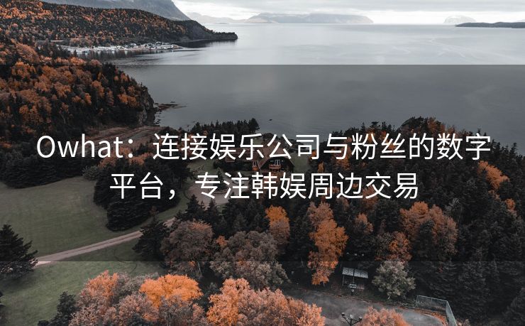 Owhat：连接娱乐公司与粉丝的数字平台，专注韩娱周边交易