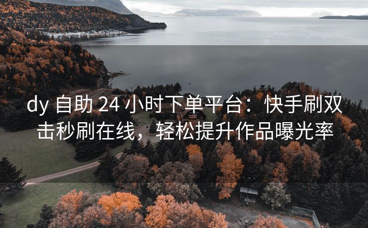 dy 自助 24 小时下单平台：快手刷双击秒刷在线，轻松提升作品曝光率