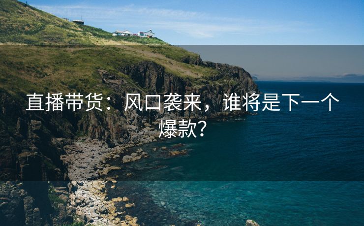 直播带货：风口袭来，谁将是下一个爆款？