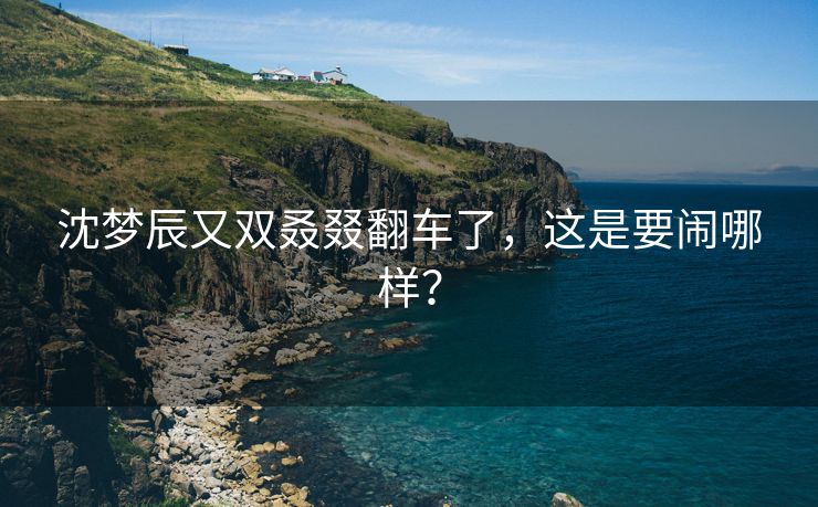 沈梦辰又双叒叕翻车了，这是要闹哪样？