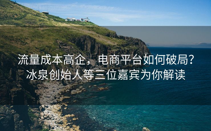 流量成本高企，电商平台如何破局？冰泉创始人等三位嘉宾为你解读