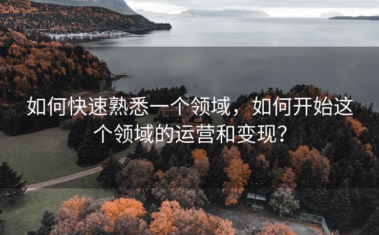 如何快速熟悉一个领域，如何开始这个领域的运营和变现？