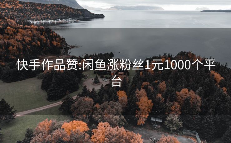 快手作品赞:闲鱼涨粉丝1元1000个平台