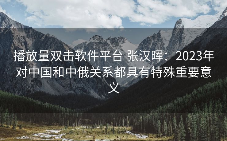 播放量双击软件平台 张汉晖：2023年对中国和中俄关系都具有特殊重要意义