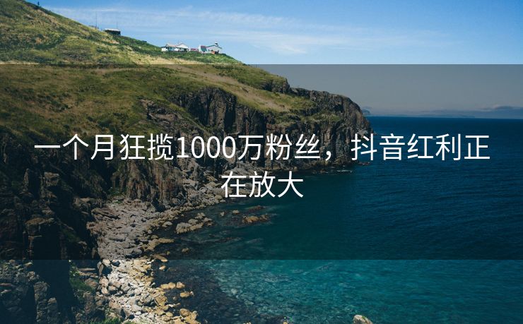 一个月狂揽1000万粉丝，抖音红利正在放大