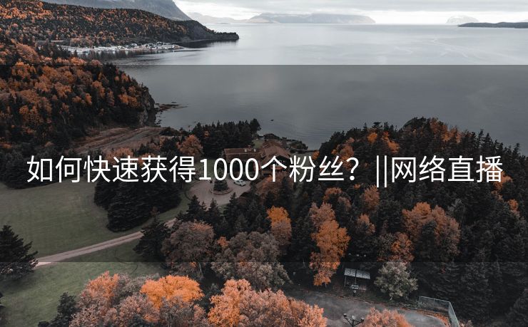 如何快速获得1000个粉丝？||网络直播