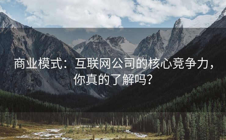 商业模式：互联网公司的核心竞争力，你真的了解吗？