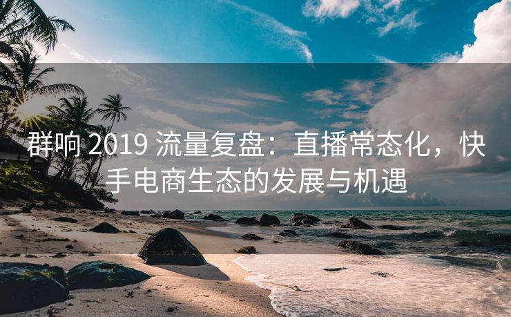 群响 2019 流量复盘：直播常态化，快手电商生态的发展与机遇