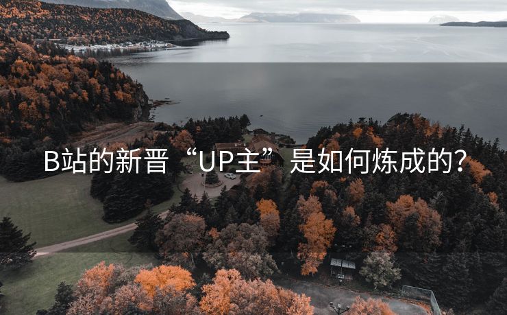 B站的新晋“UP主”是如何炼成的？