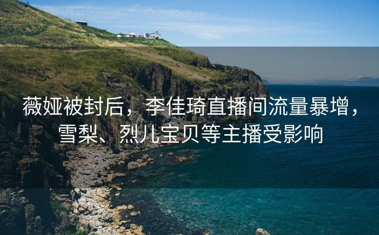 薇娅被封后，李佳琦直播间流量暴增，雪梨、烈儿宝贝等主播受影响