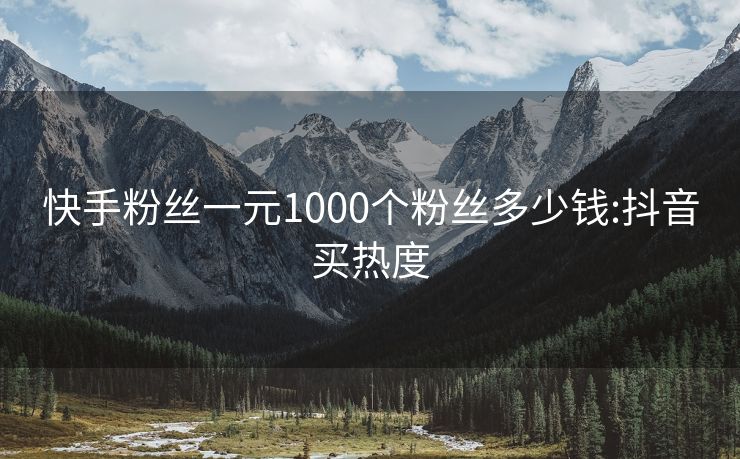 快手粉丝一元1000个粉丝多少钱:抖音买热度