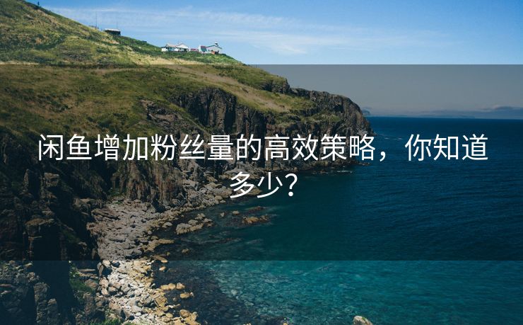 闲鱼增加粉丝量的高效策略，你知道多少？