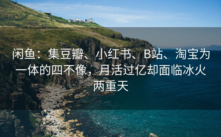 闲鱼：集豆瓣、小红书、B站、淘宝为一体的四不像，月活过亿却面临冰火两重天