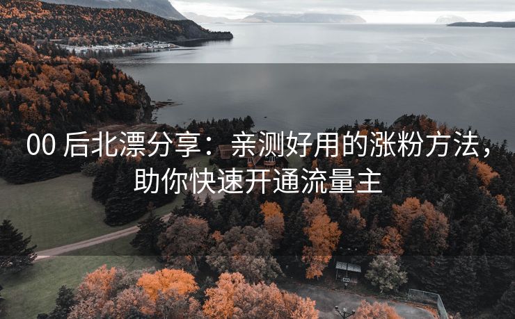 00 后北漂分享：亲测好用的涨粉方法，助你快速开通流量主