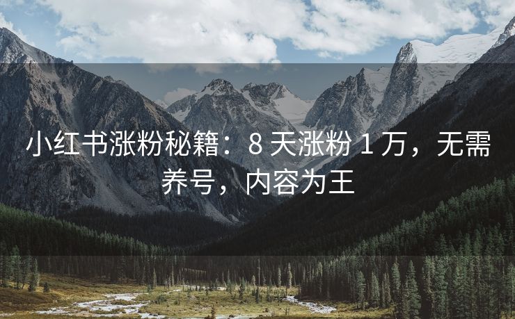 小红书涨粉秘籍：8 天涨粉 1 万，无需养号，内容为王