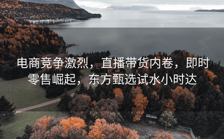 电商竞争激烈，直播带货内卷，即时零售崛起，东方甄选试水小时达