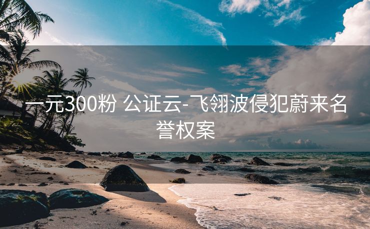 一元300粉 公证云-飞翎波侵犯蔚来名誉权案