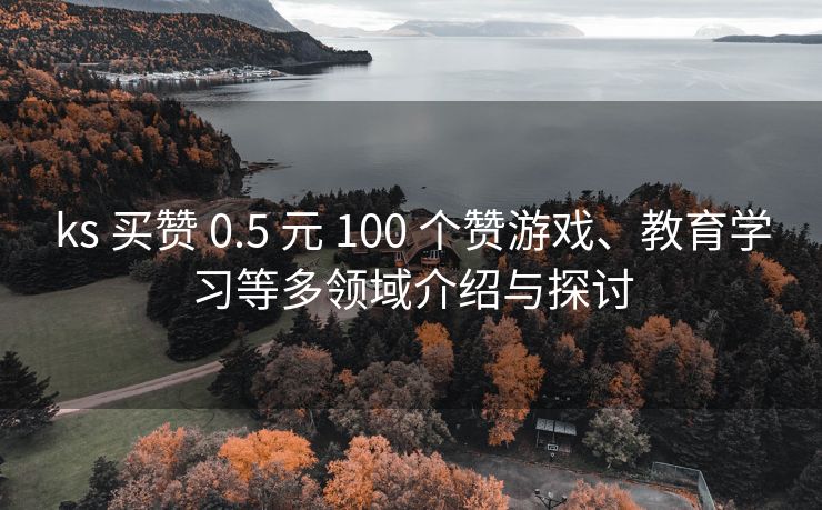 ks 买赞 0.5 元 100 个赞游戏、教育学习等多领域介绍与探讨