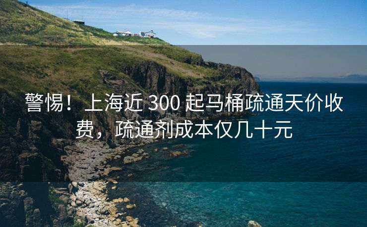 警惕！上海近 300 起马桶疏通天价收费，疏通剂成本仅几十元