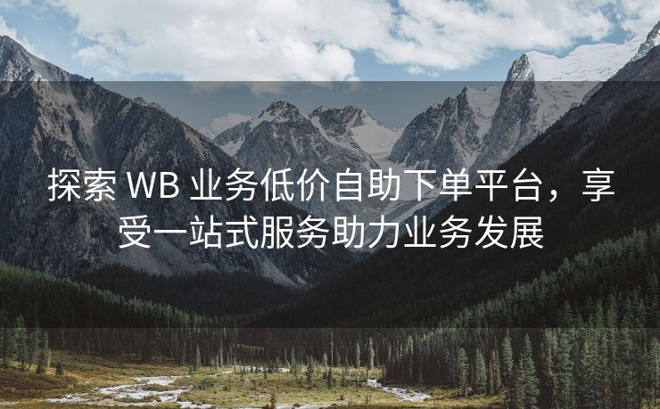 探索 WB 业务低价自助下单平台，享受一站式服务助力业务发展