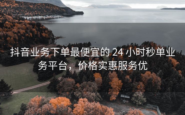 抖音业务下单最便宜的 24 小时秒单业务平台，价格实惠服务优