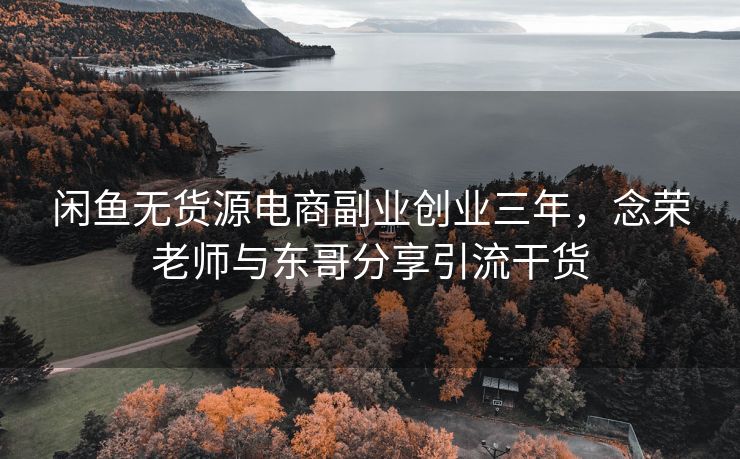 闲鱼无货源电商副业创业三年，念荣老师与东哥分享引流干货