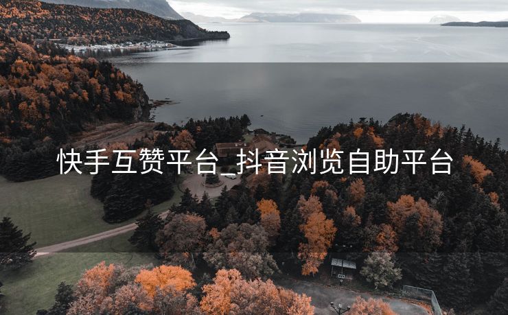 快手互赞平台_抖音浏览自助平台