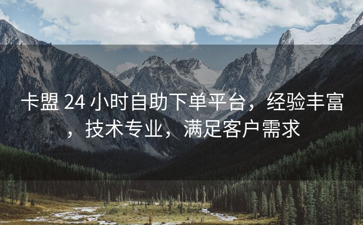 卡盟 24 小时自助下单平台，经验丰富，技术专业，满足客户需求